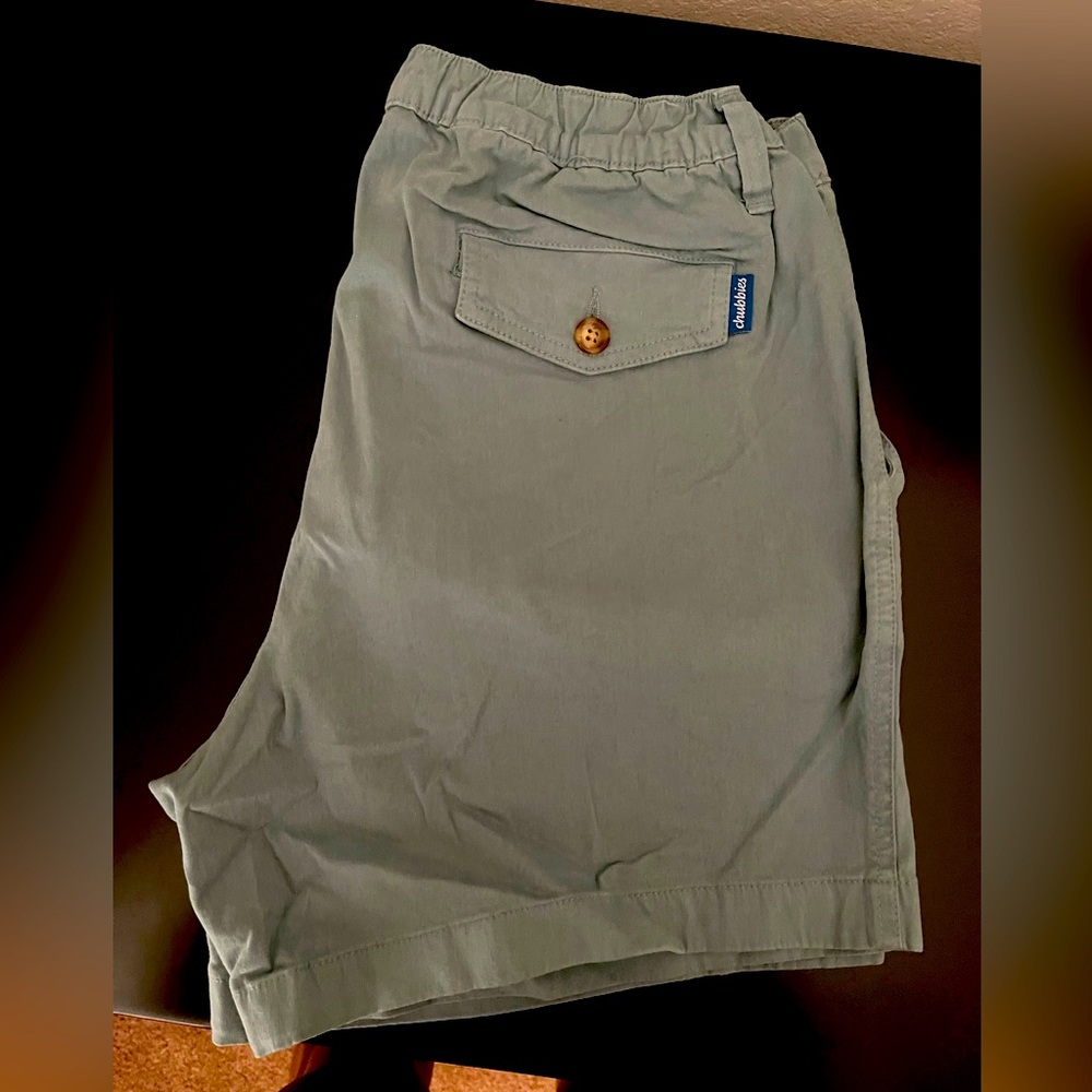 Teal/Green Chubbies Men’s Shorts
